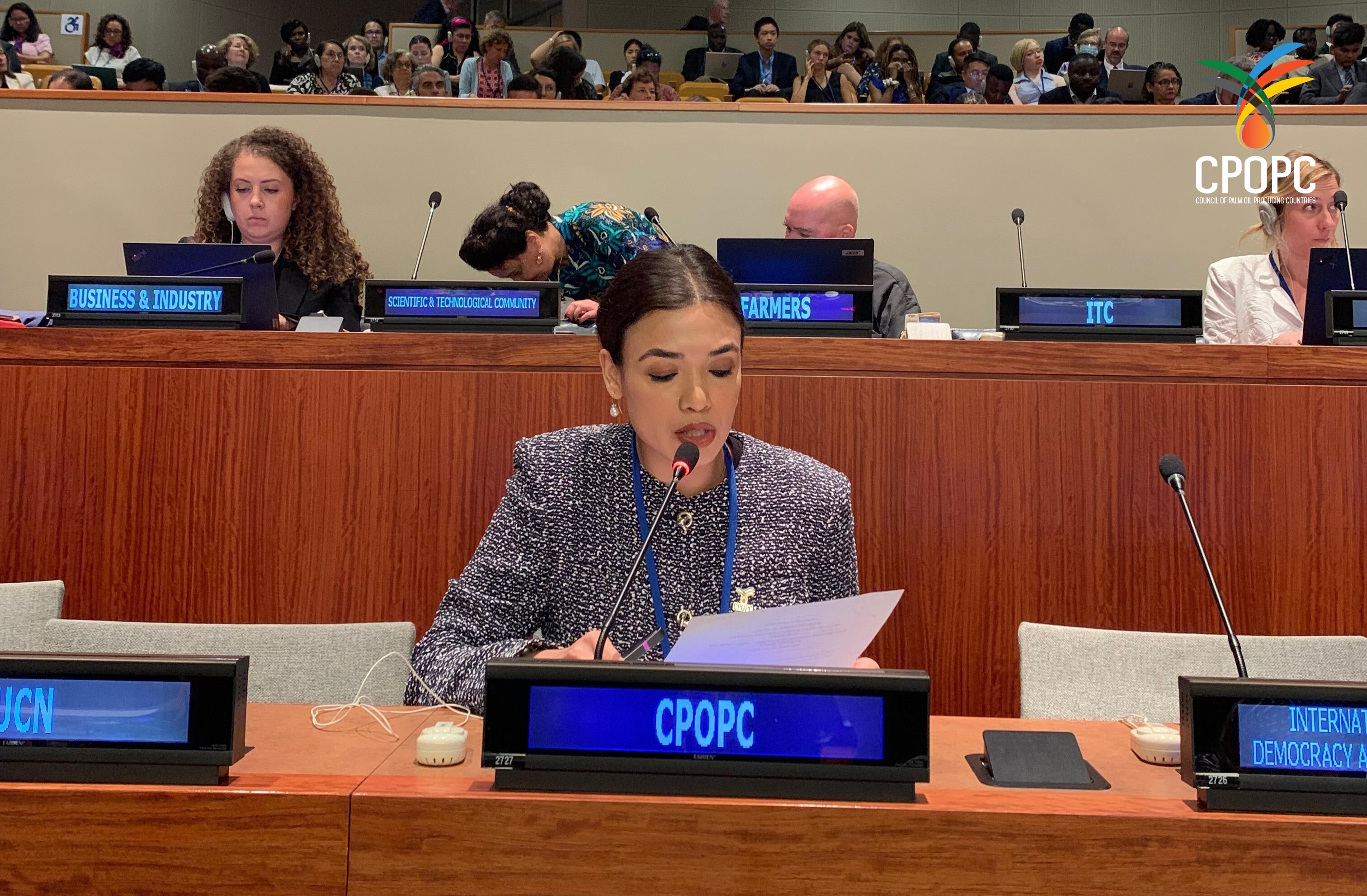 CPOPC Presenting at the High‑Level Political Forum on Sustainable Development (HLPF) 2025 CPOPC.net